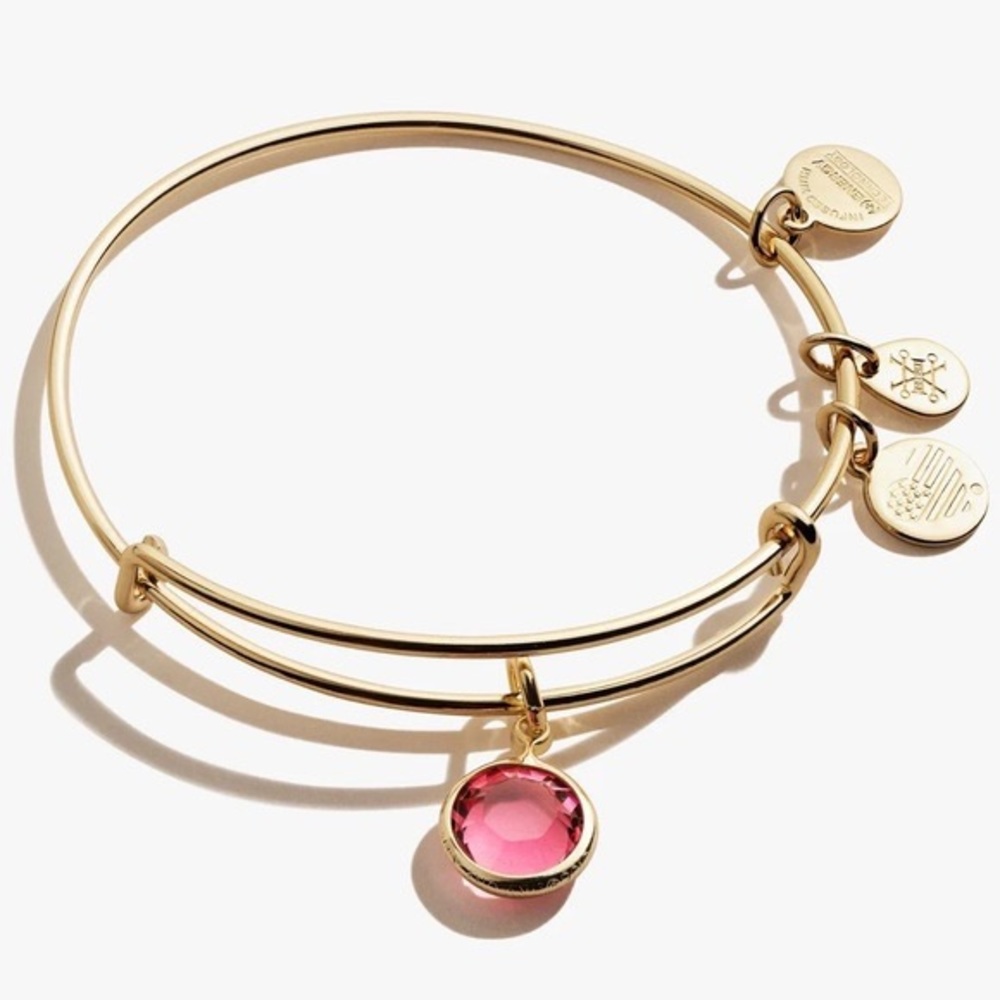 ALEX & ANI Bracelet Set (2 Bracelets)